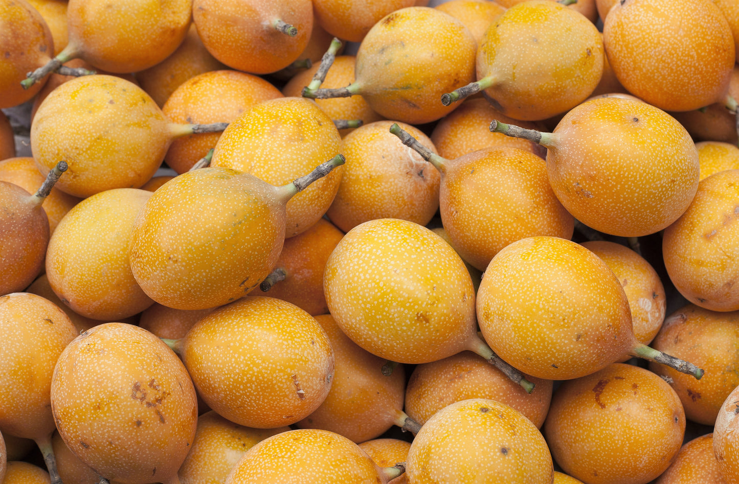 10 Sweet Granadilla/Yellow Passionfruit (Passiflora Ligularis) Seeds