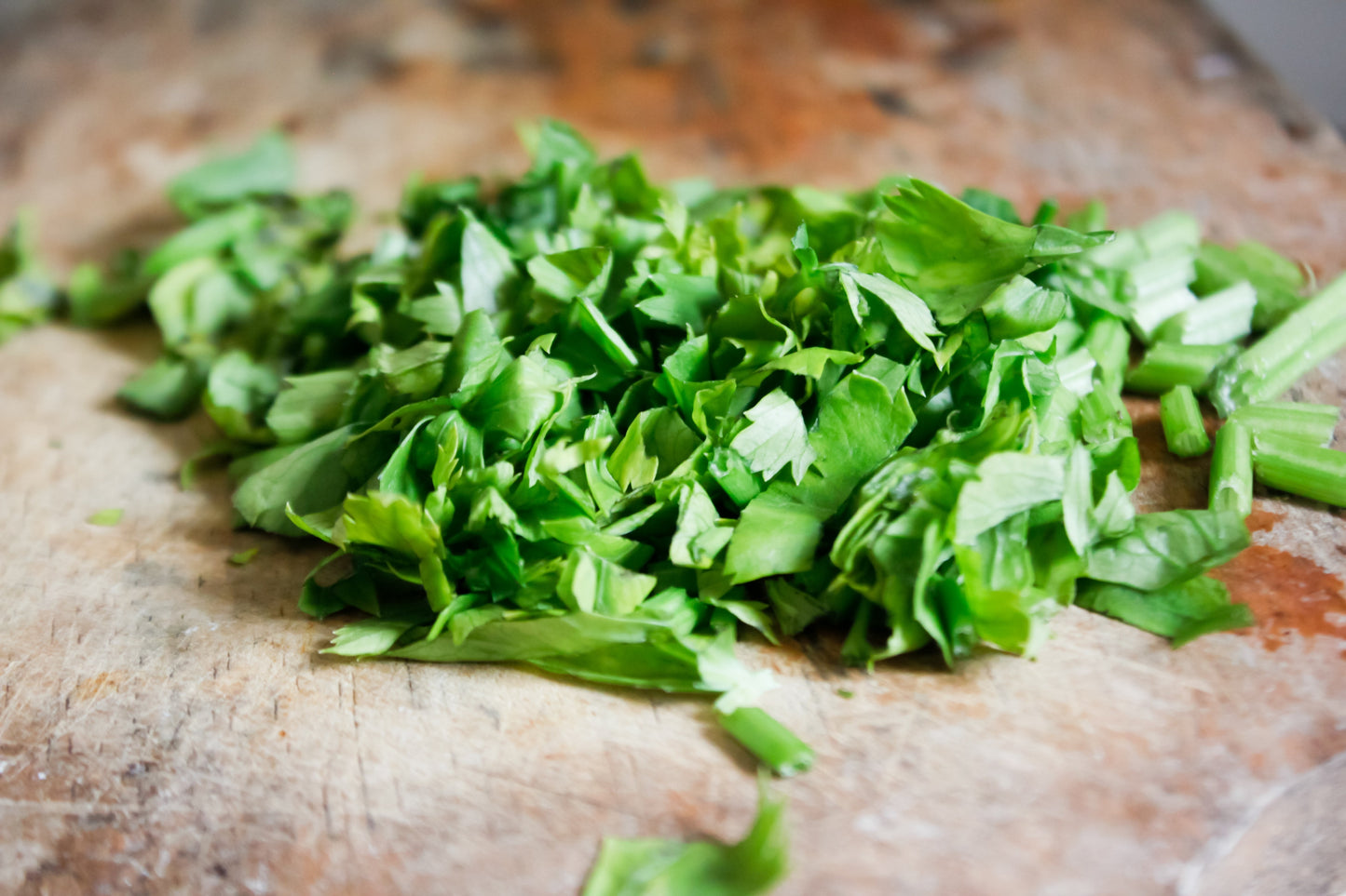2000 Cutting Leaf Celery (Apium Graveolens) Seeds