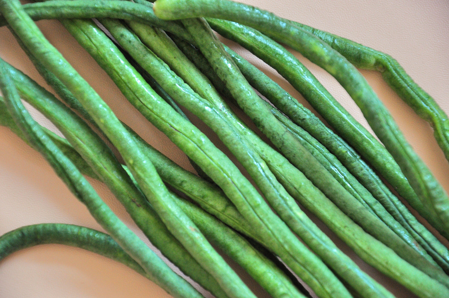 30 Yard Long Bean (Phaseolus Vulgaris) Seeds