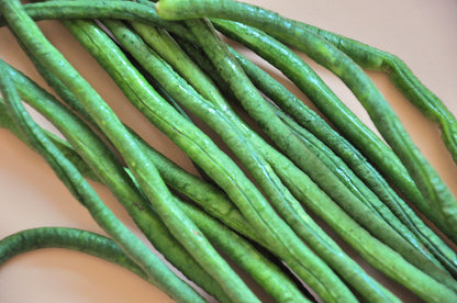 30 Yard Long Bean (Phaseolus Vulgaris) Seeds