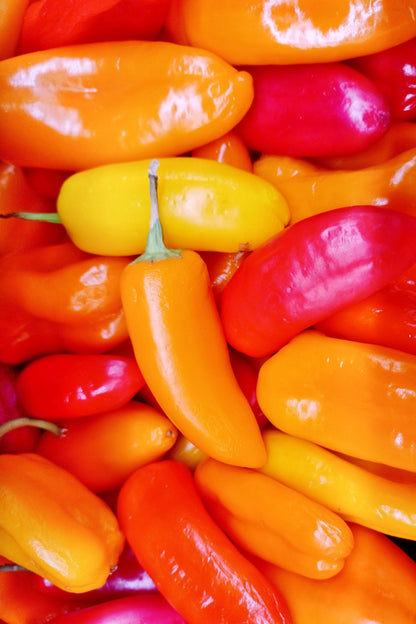200 SANTA Fe GRANDE PEPPER (Guero Chili Pepper / Yellow Hot Chili Pepper) Capsicum Annuum Vegetable Seeds