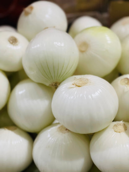 Eclipse White Sweet Onion (Allium cepa) Seeds – 250 ct