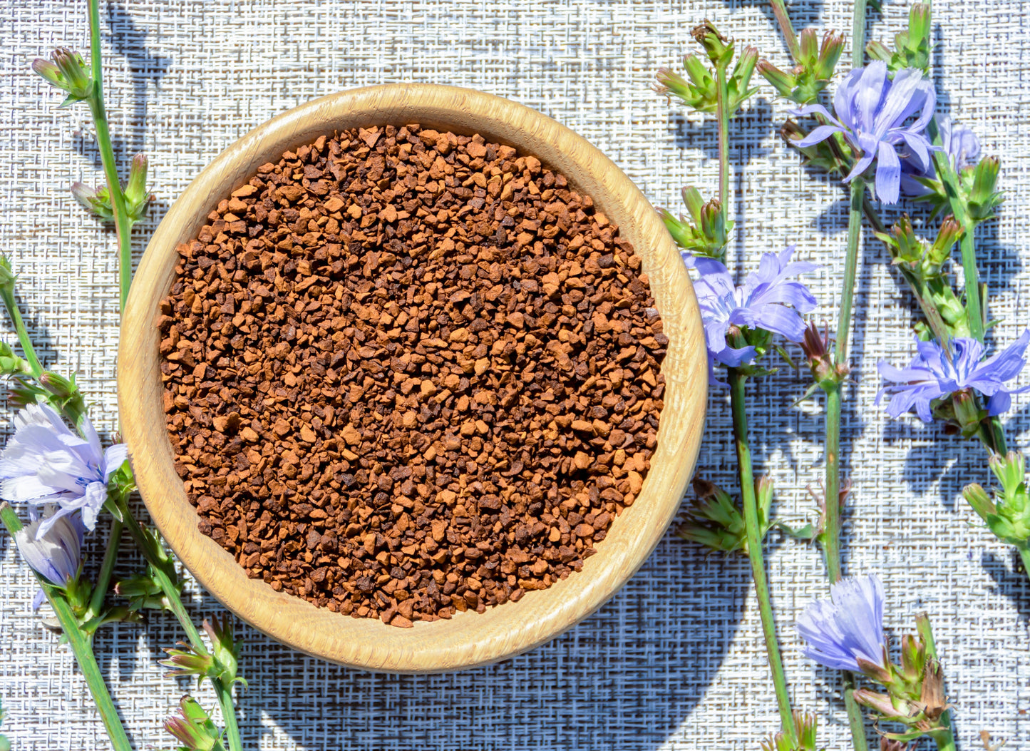 1000 Chicory (Chicorium Cicorium Intybus) Seeds
