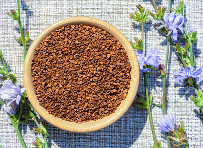 1000 Chicory (Chicorium Cicorium Intybus) Seeds