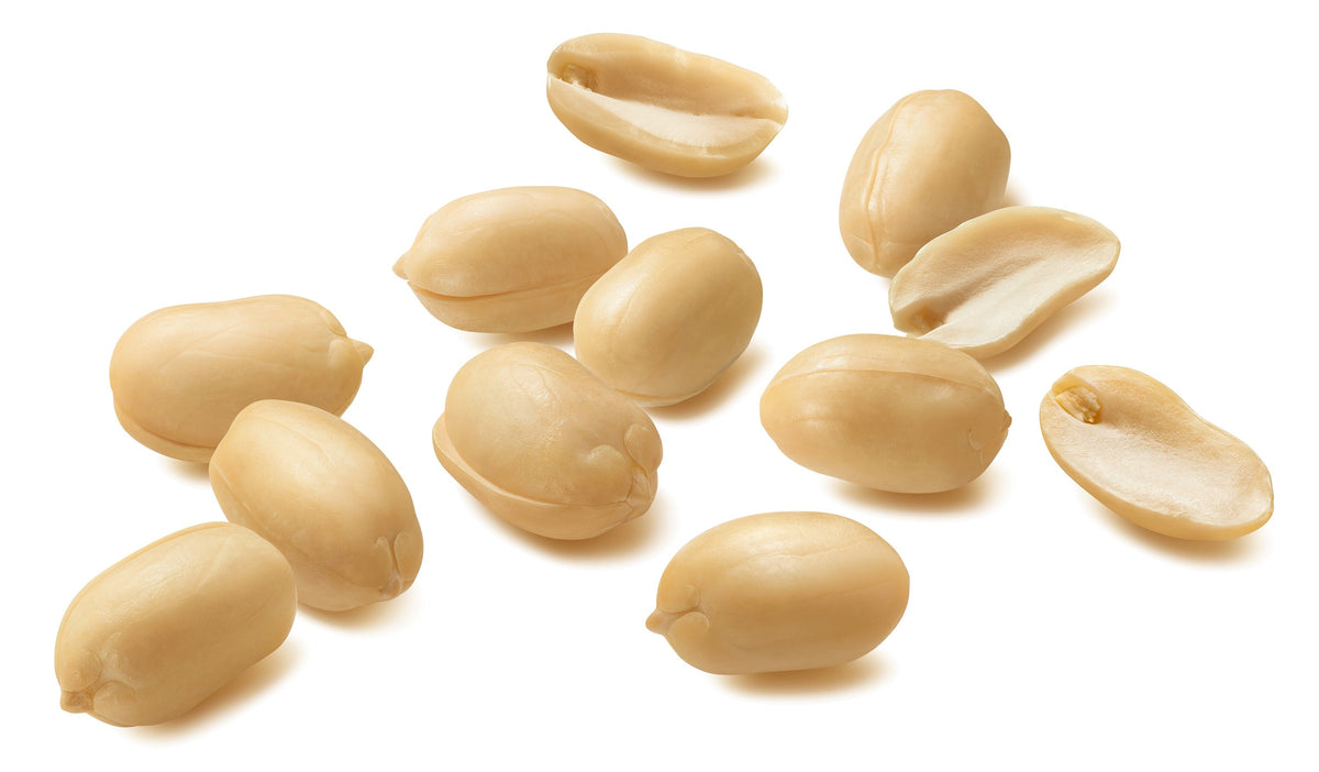 Early Spanish Peanut (Arachis hypogaea) Seeds – 20 ct