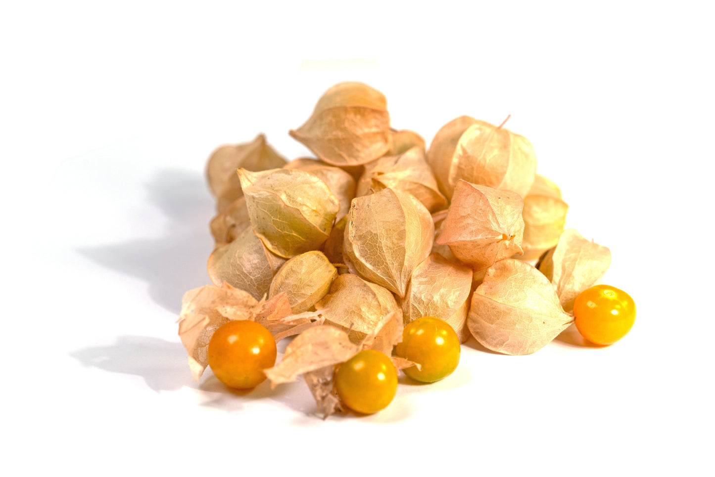 200 Organic Ground Cherry (Physalis Pruinosa) Seeds