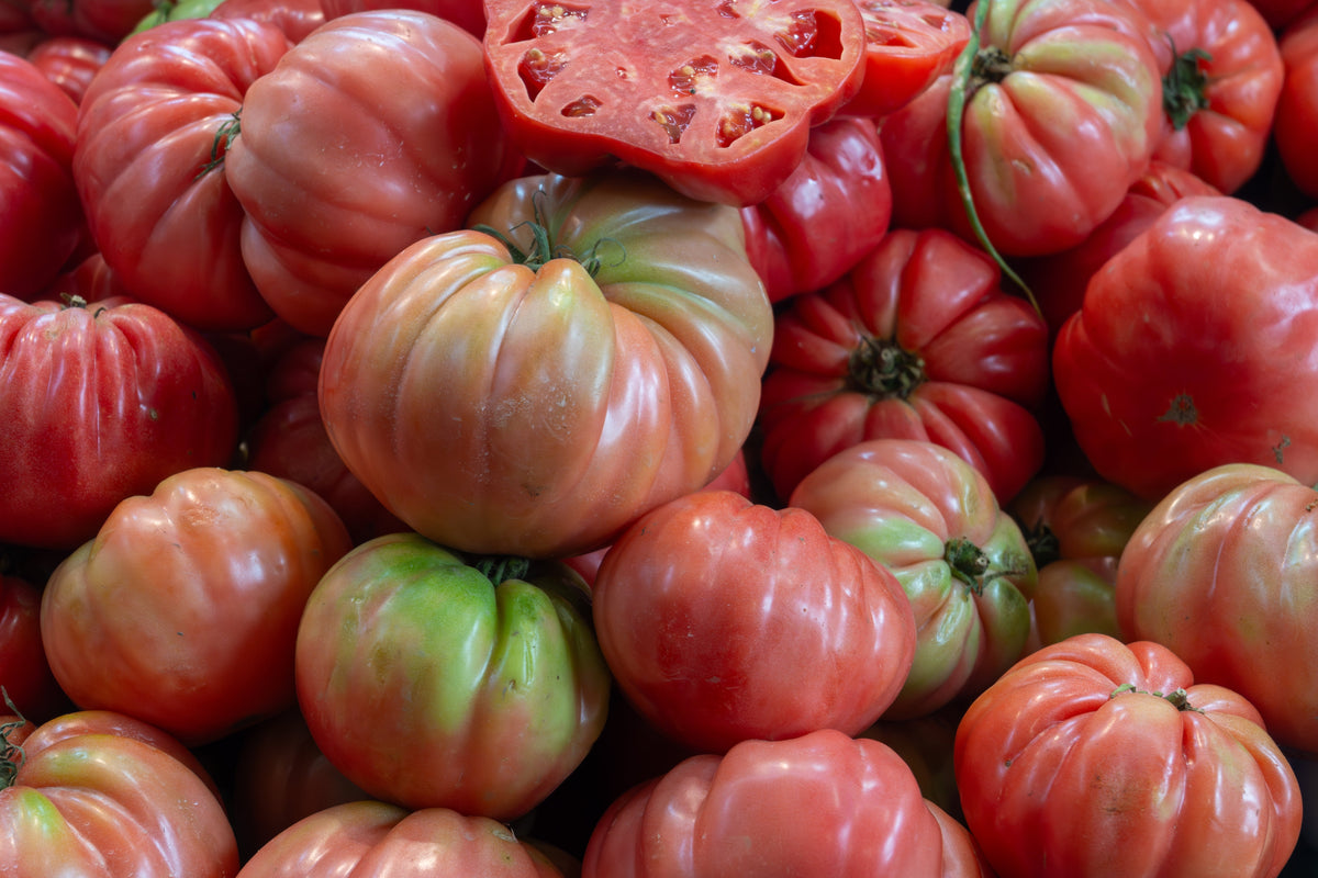 Giant Belgian Pink Tomato (Solanum lycopersicum) Seeds – 50 ct