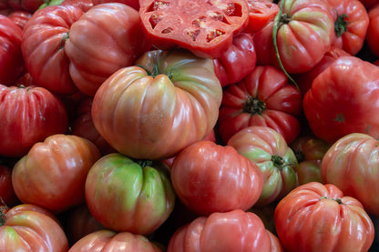Giant Belgian Pink Tomato (Solanum lycopersicum) Seeds – 50 ct