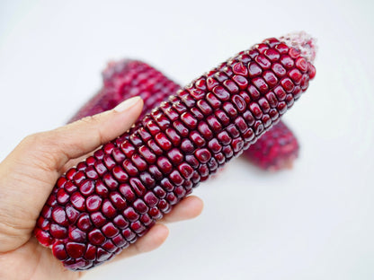 35 BLOODY BUTCHER Red CORN Edible & Ornamental Heirloom Zea Mays Vegetable Seeds