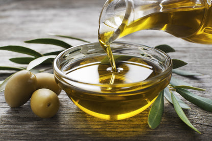 10 Canino Olive Tree (Olea Europaea Canino) Seed