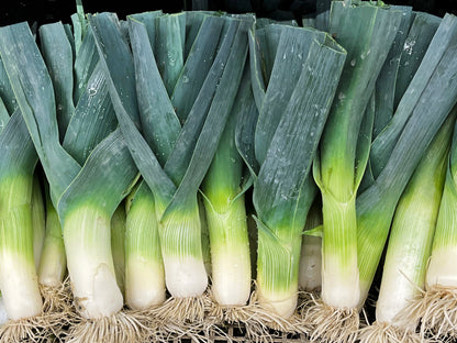 500 Broad London Leek (Allium Porrum) Seeds