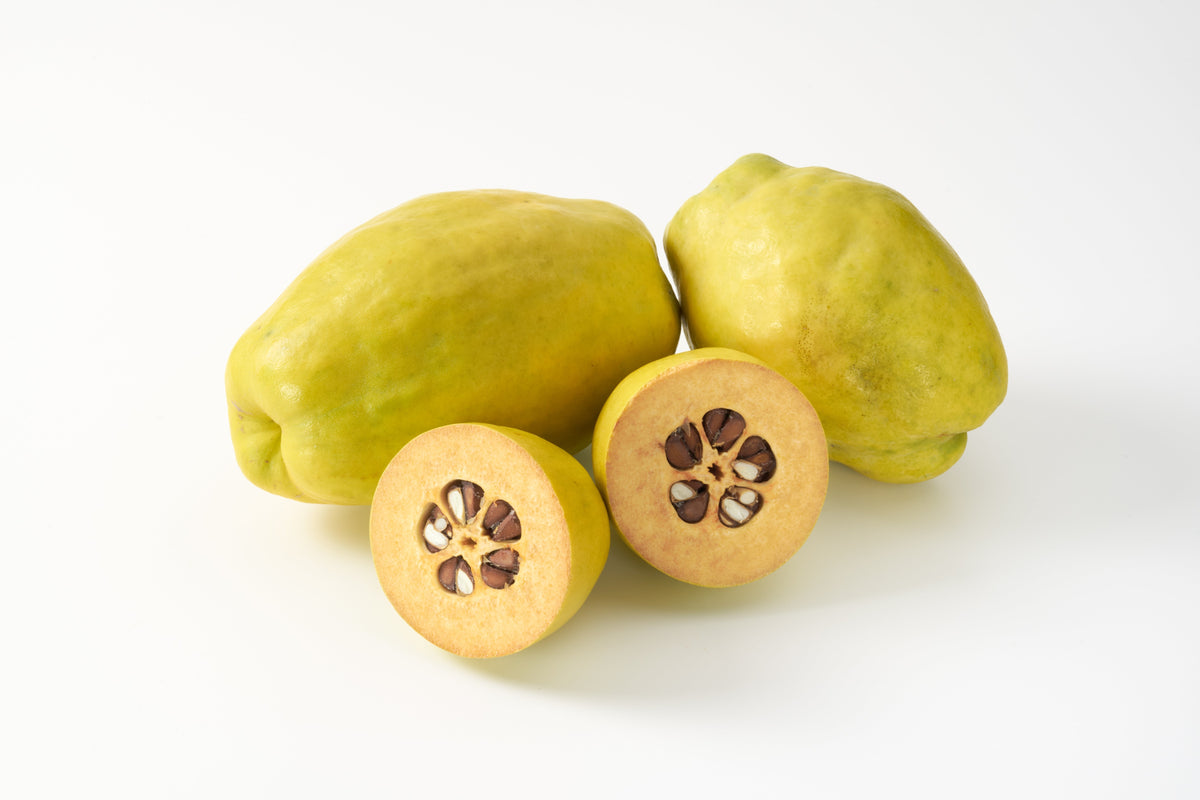 Chinese Quince (Pseudocydonia sinensis) Seeds – 20 ct