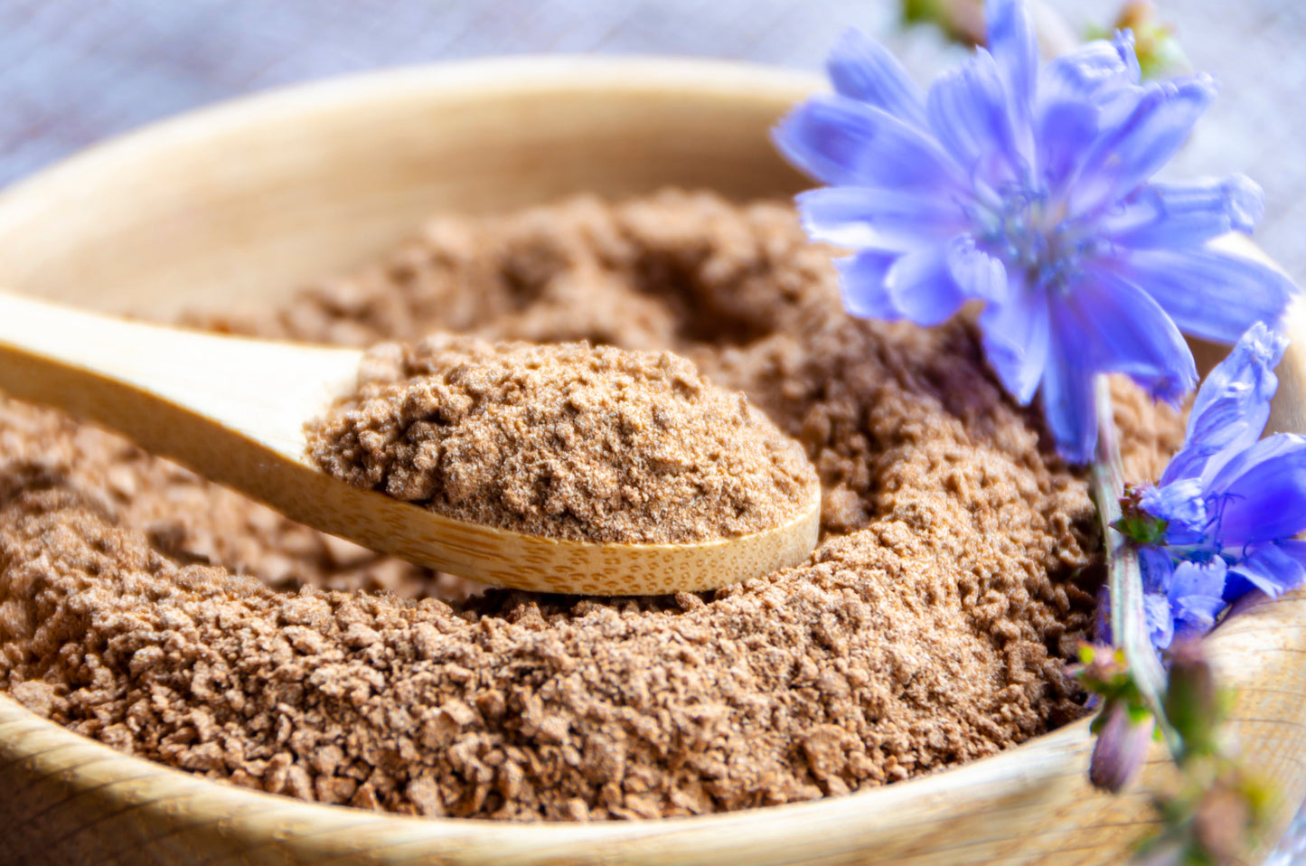 1000 Chicory (Chicorium Cicorium Intybus) Seeds