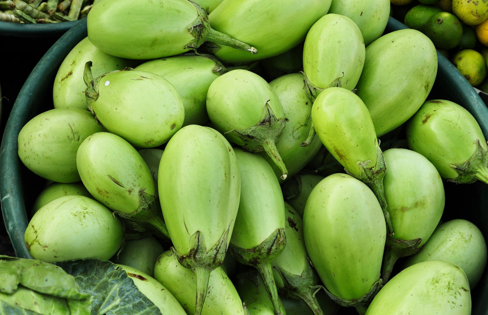 25 APPLEGREEN EGGPLANT Green Fruit / Vegetable Solanum Melongena Seeds