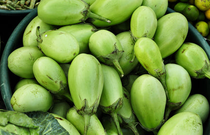25 APPLEGREEN EGGPLANT Green Fruit / Vegetable Solanum Melongena Seeds