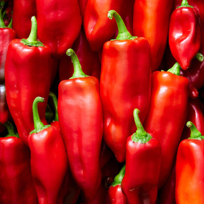 25 JIMMY NARDELLO PEPPER Sweet Red Italian Capsicum Annuum Vegetable Seeds