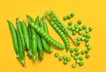 50 Green Arrow Pea (Pisum Sativum) Seeds