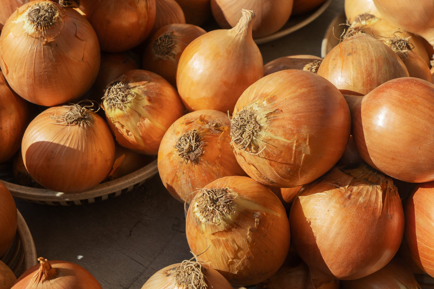 250 Sweet Walla Walla Onion (Allium Cepa) Seeds
