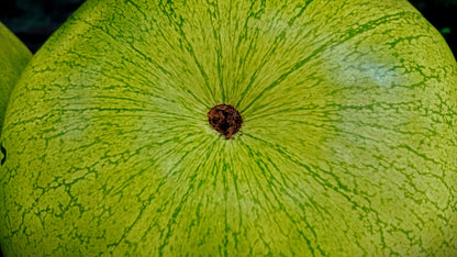 50 Charleston Gray Watermelon (Citrullus Lanatus) Seeds