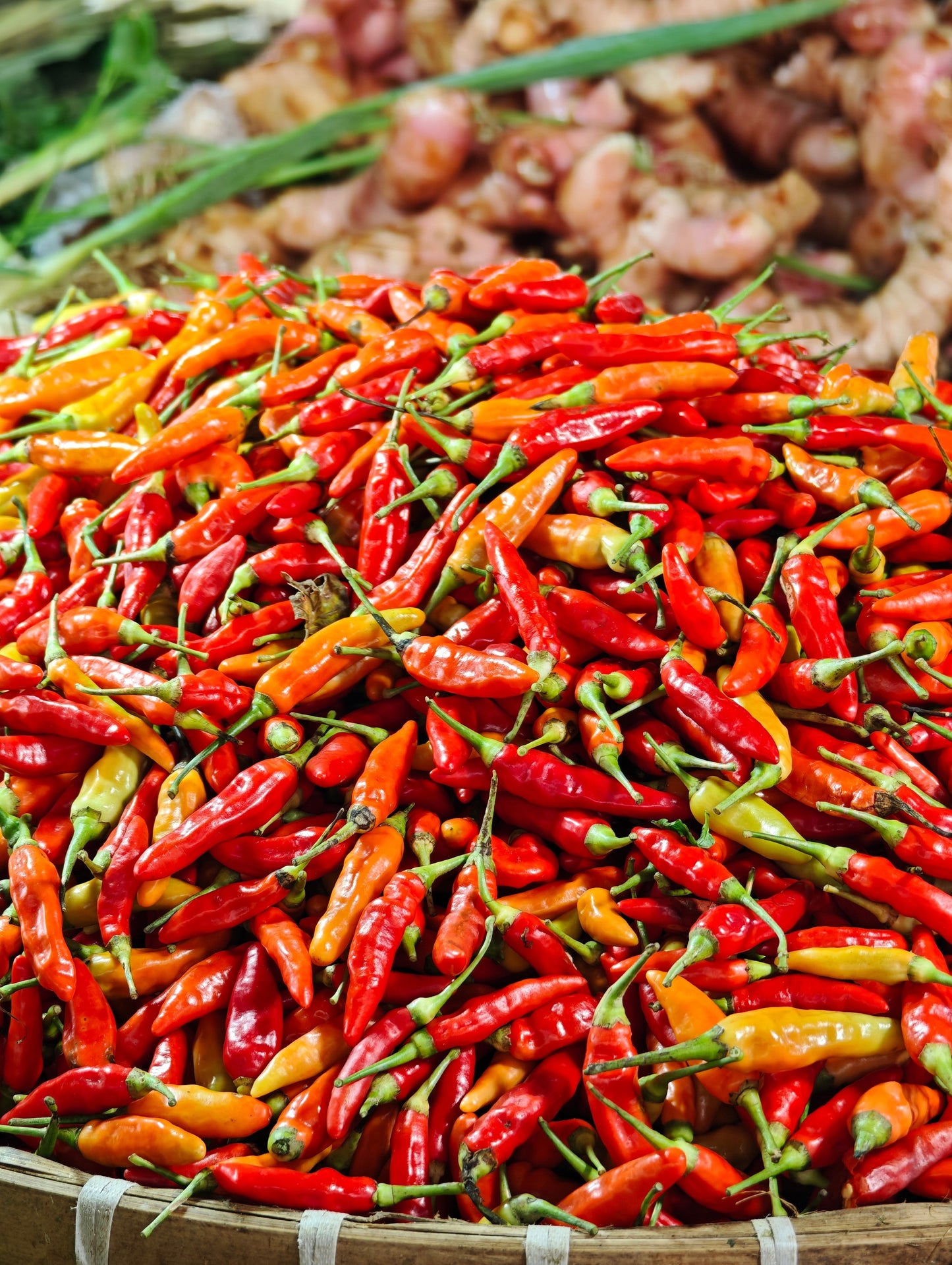 30 Birds Eye / Chilitepin Pepper (Capsicum Frutescens) Seeds