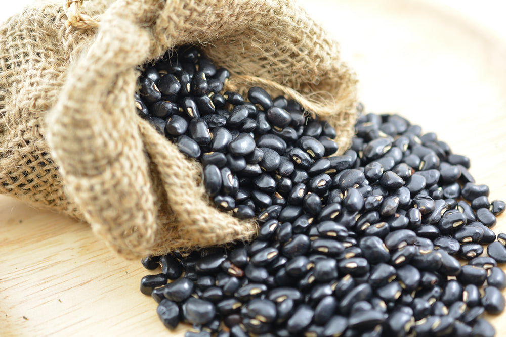 50 BLACK BEAN (Black Turtle Bush Bean) Phaseolus Vulgaris Vegetable Seeds