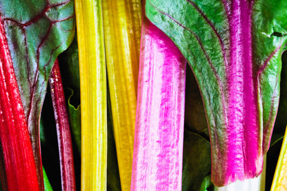 150 Rainbow Mix Swiss Chard (Beta Vulgaris) gSeeds