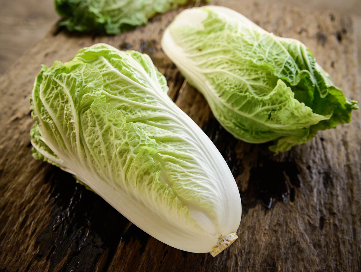 Michihili Chinese Cabbage (Brassica rapa var. pekinensis) Seeds – 500 ct