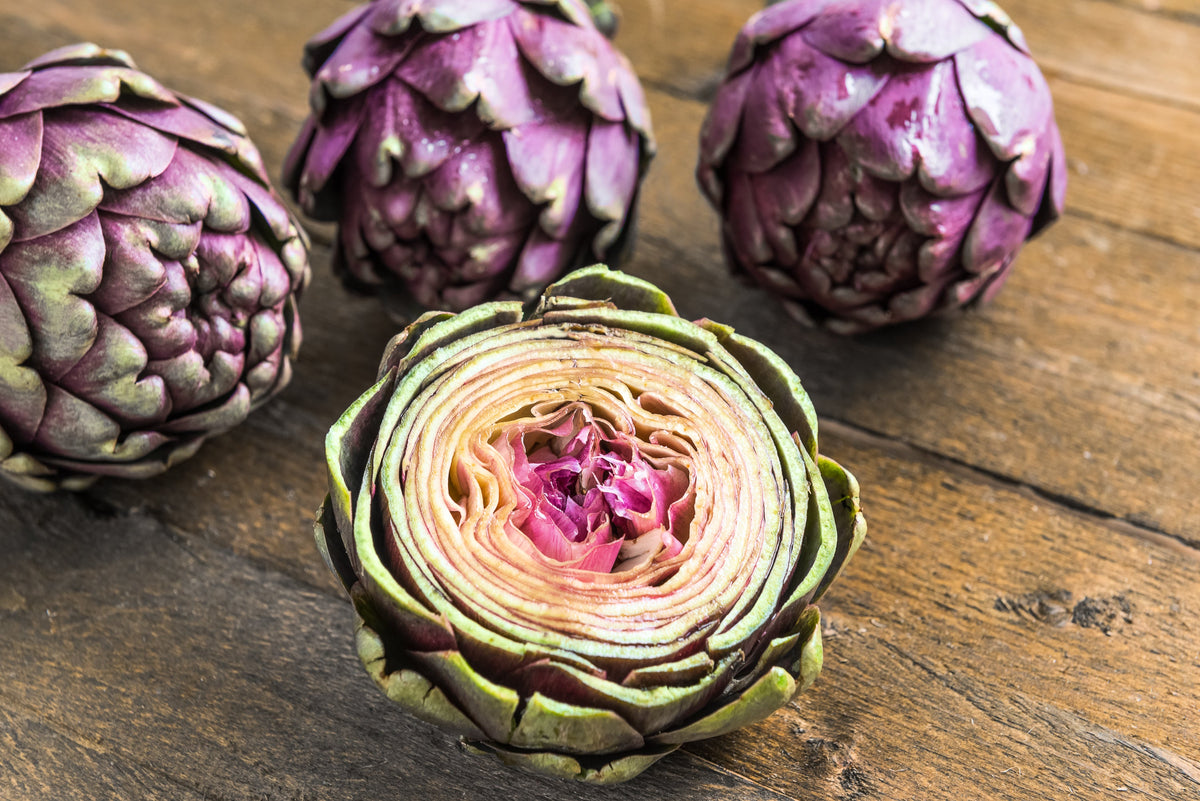 50 PURPLE ROMAGNA ARTICHOKE Italian Cynara Scolymus Flower Vegetable Seeds