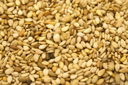 1500 Sesame Seed (Sesamum Indicum) Seeds