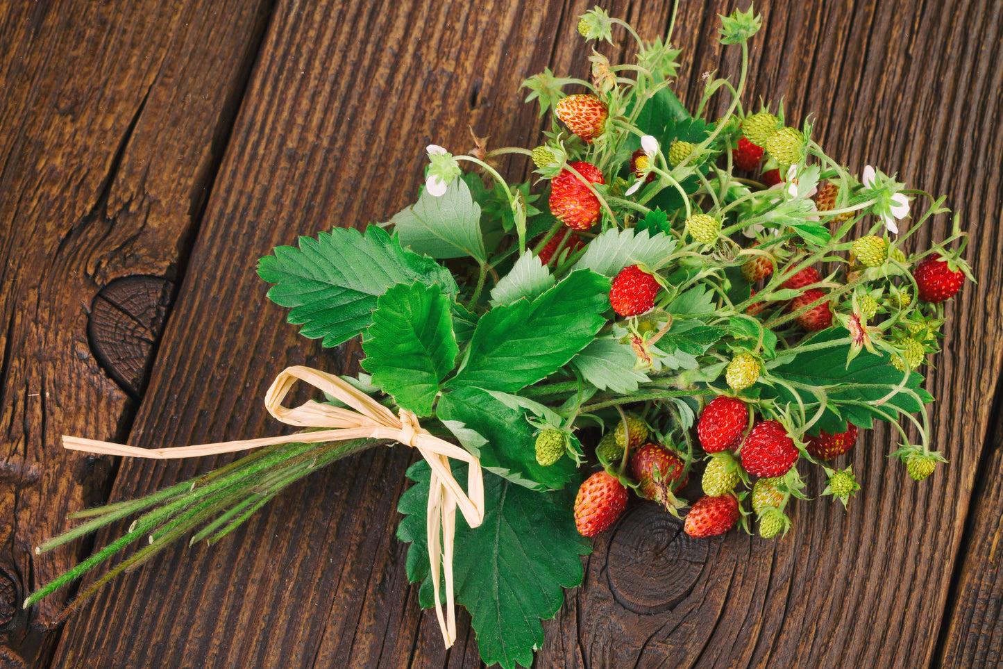 100 Alpine Strawberry (Fragaria Vesca) Seeds