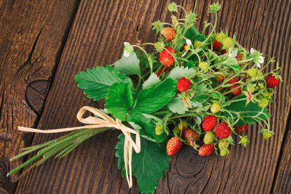 100 Alpine Strawberry (Fragaria Vesca) Seeds