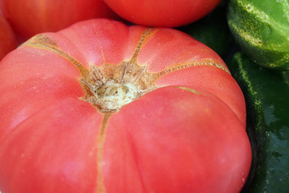 Giant Belgian Pink Tomato (Solanum lycopersicum) Seeds – 50 ct