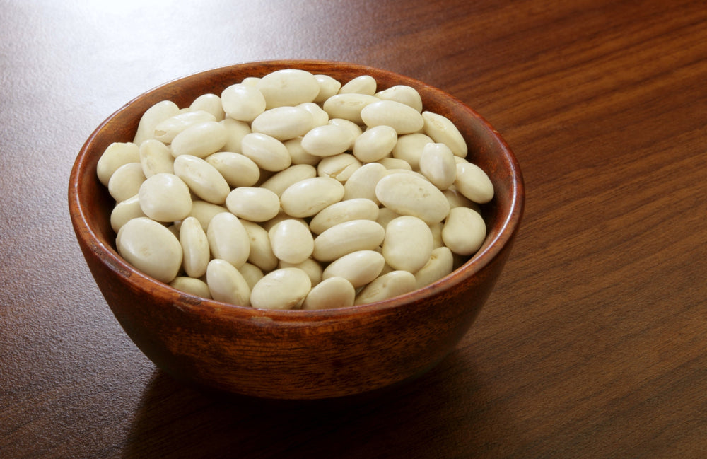 50 White Great Northern Bean (Phaseolus Vulgaris) Seeds