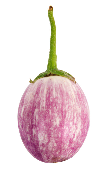 Organic Rosa Bianca Eggplant (Solanum melongena) Seeds – 50 ct