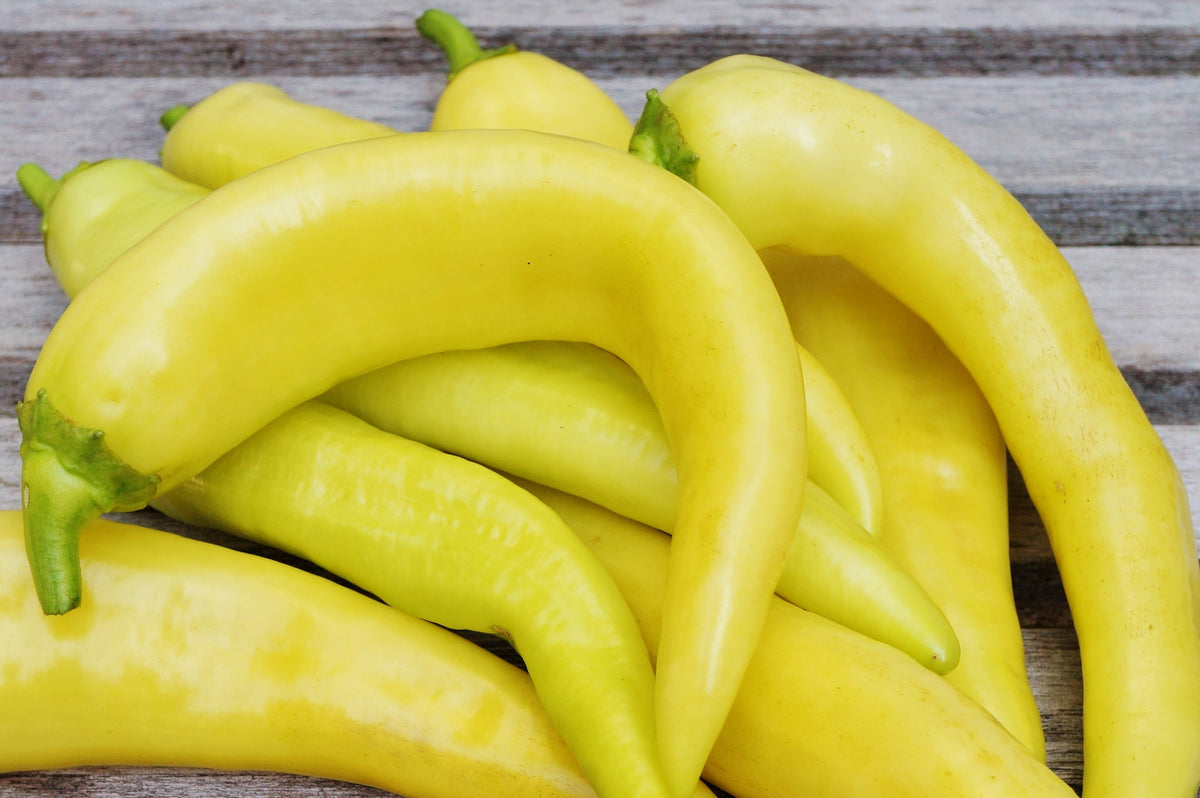 200 HEIRLOOM BANANA Pepper Sweet Yellow Hungarian Capsicum Annuum Vegetable Seed