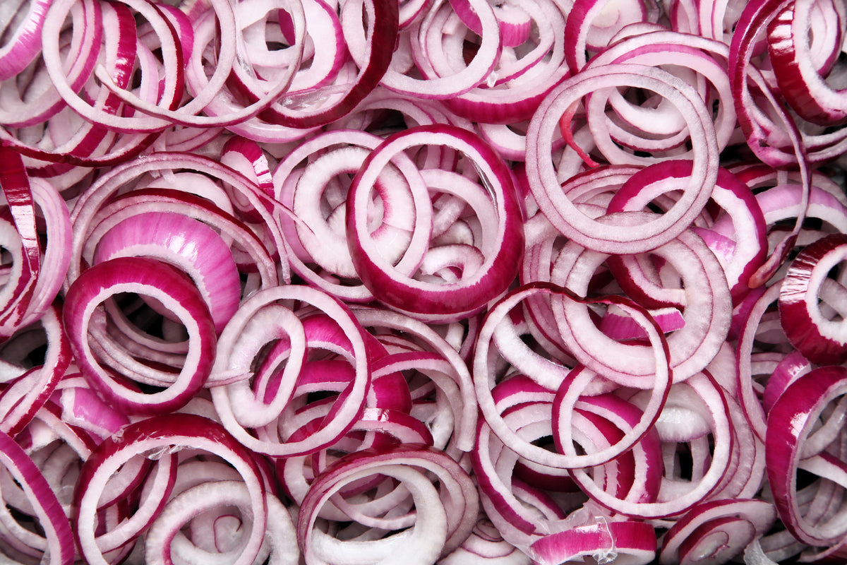 250 RED CREOLE ONION Spicy Cajun Short Day Allium Cepa Vegetable Seeds