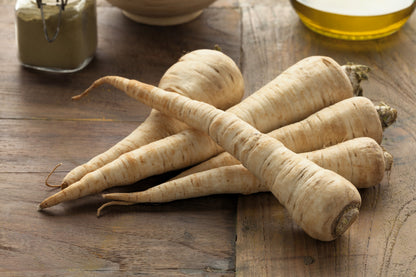 1000 All American Parsnip (Pastinaca Sativa) Seeds