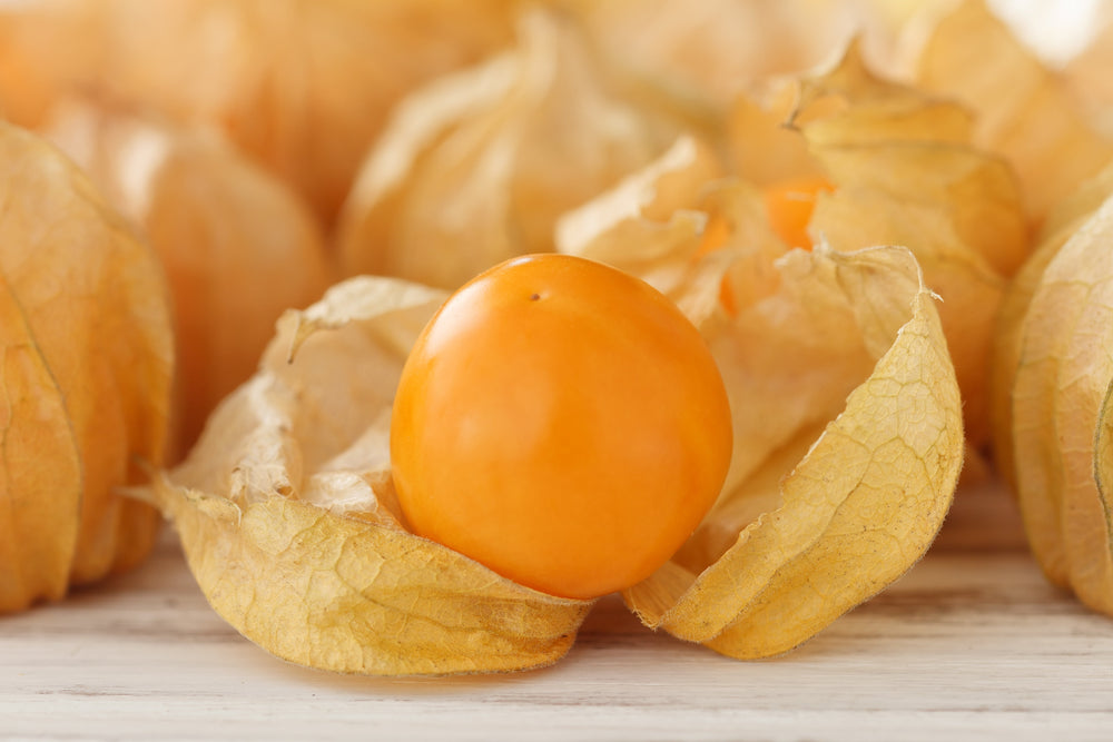 50 Peruvian Ground Cherry (Physalis Peruviana) Seeds