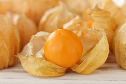 50 Peruvian Ground Cherry (Physalis Peruviana) Seeds