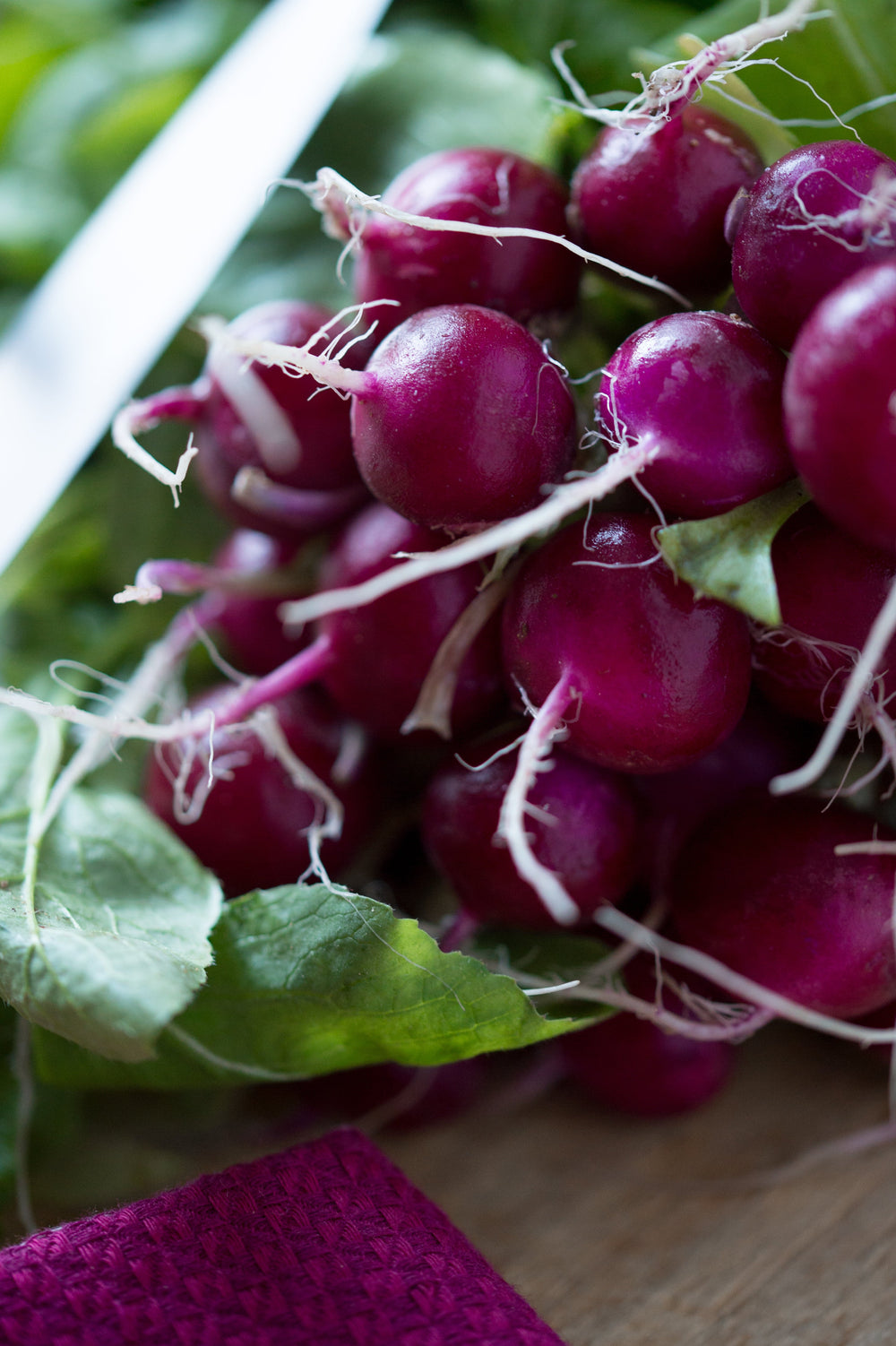 300 Purple Plum Radish (Raphanus Sativus) Seeds