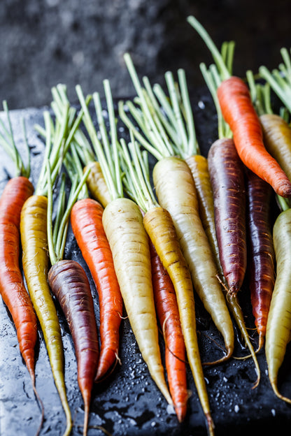 500 Rainbow Carrot Mix (Daucus Carrota) Seeds