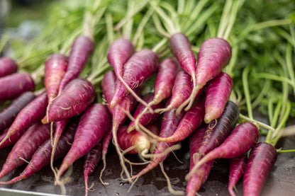 400 Cosmic Purple Carrot (Daucus Carota) Seeds