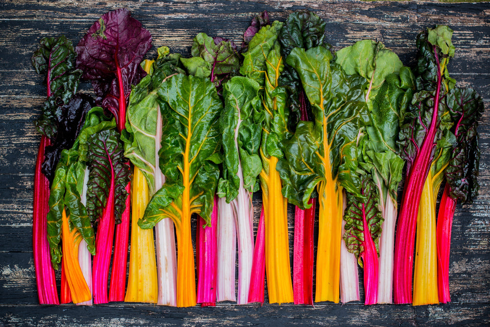 150 Mixed Colors Northern Lights Swiss Chard (Beta Vulgaris Cicla) Seeds
