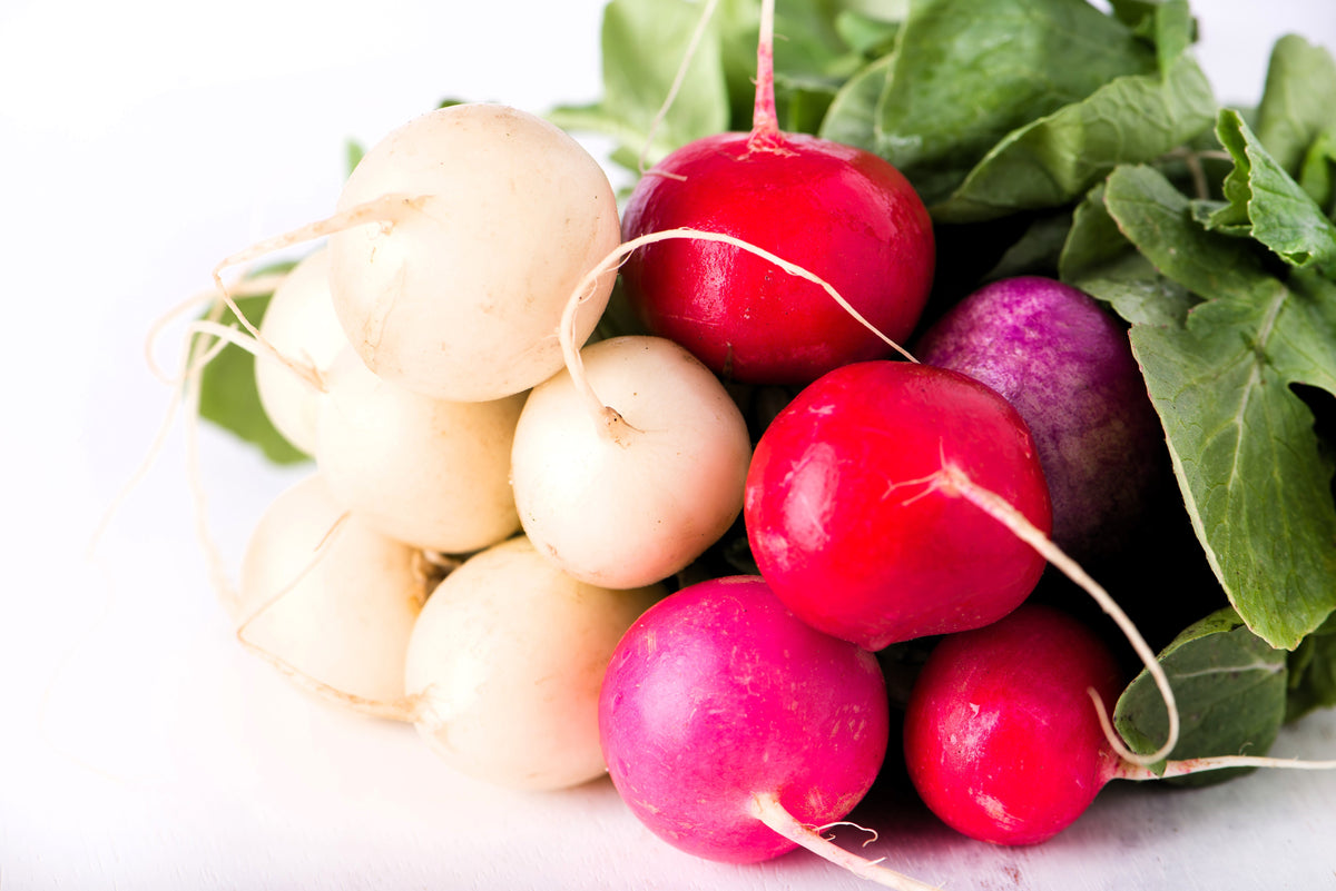 500 Mixed Colors EASTER EGG RADISH Raphanus Sativus Vegetable Seeds