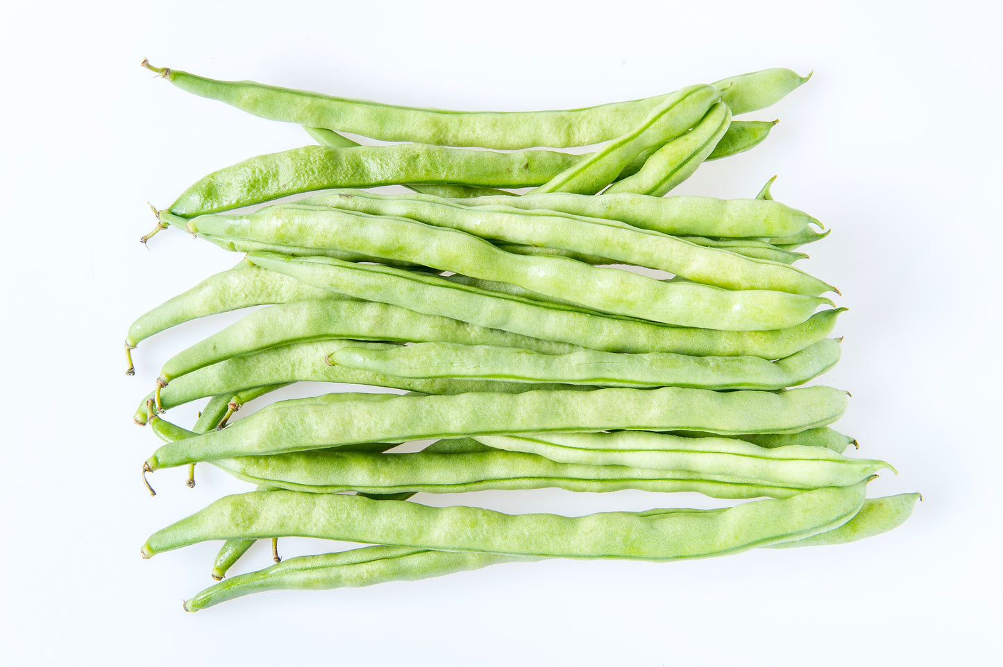 50 Kentucky Wonder Pole Bean (Phaseolus Vulgaris) Seeds