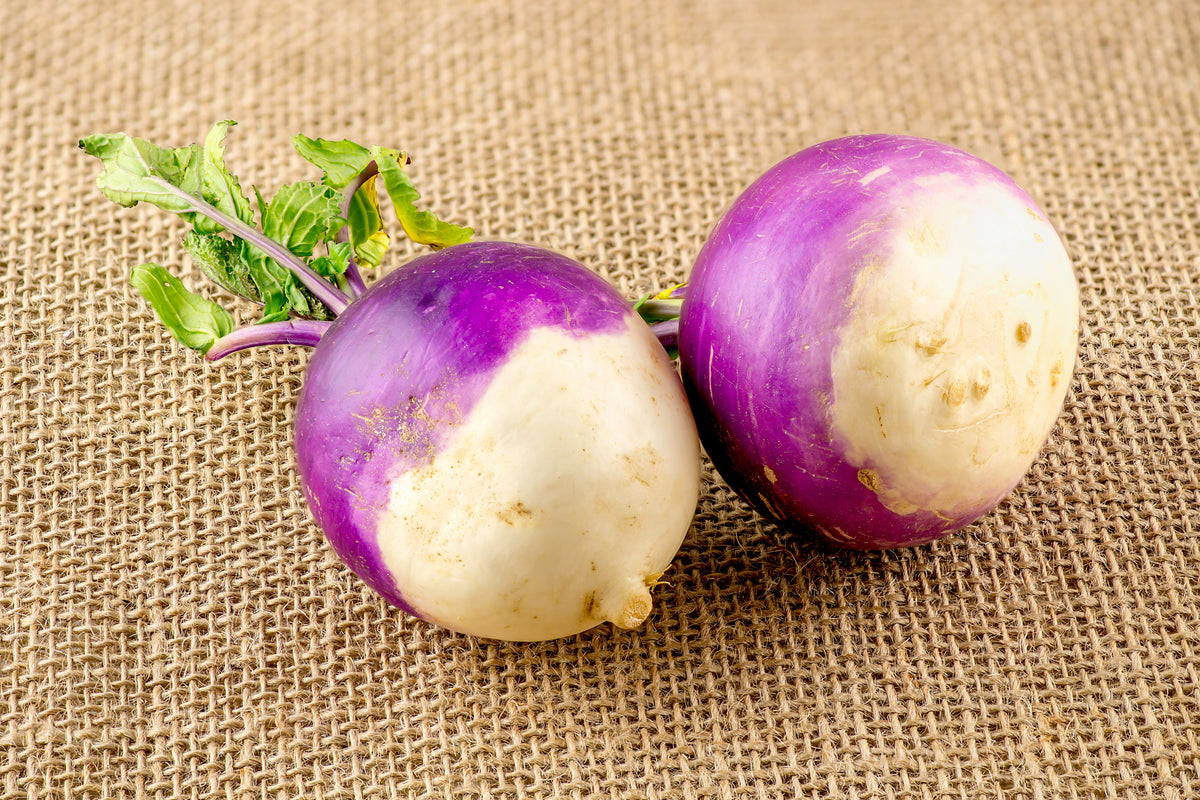 3000 PURPLE Top WHITE Globe TURNIP Brassica Rapa Vegetable Seeds
