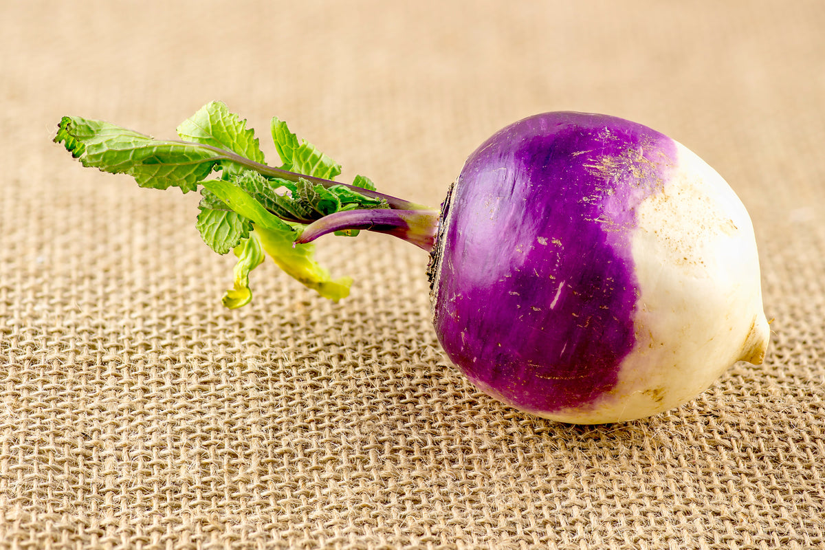 3000 PURPLE Top WHITE Globe TURNIP Brassica Rapa Vegetable Seeds
