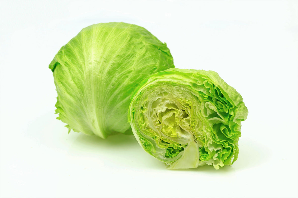 3000 ICEBERG HEAD LETTUCE Lactuca Sativa Vegetable Seeds
