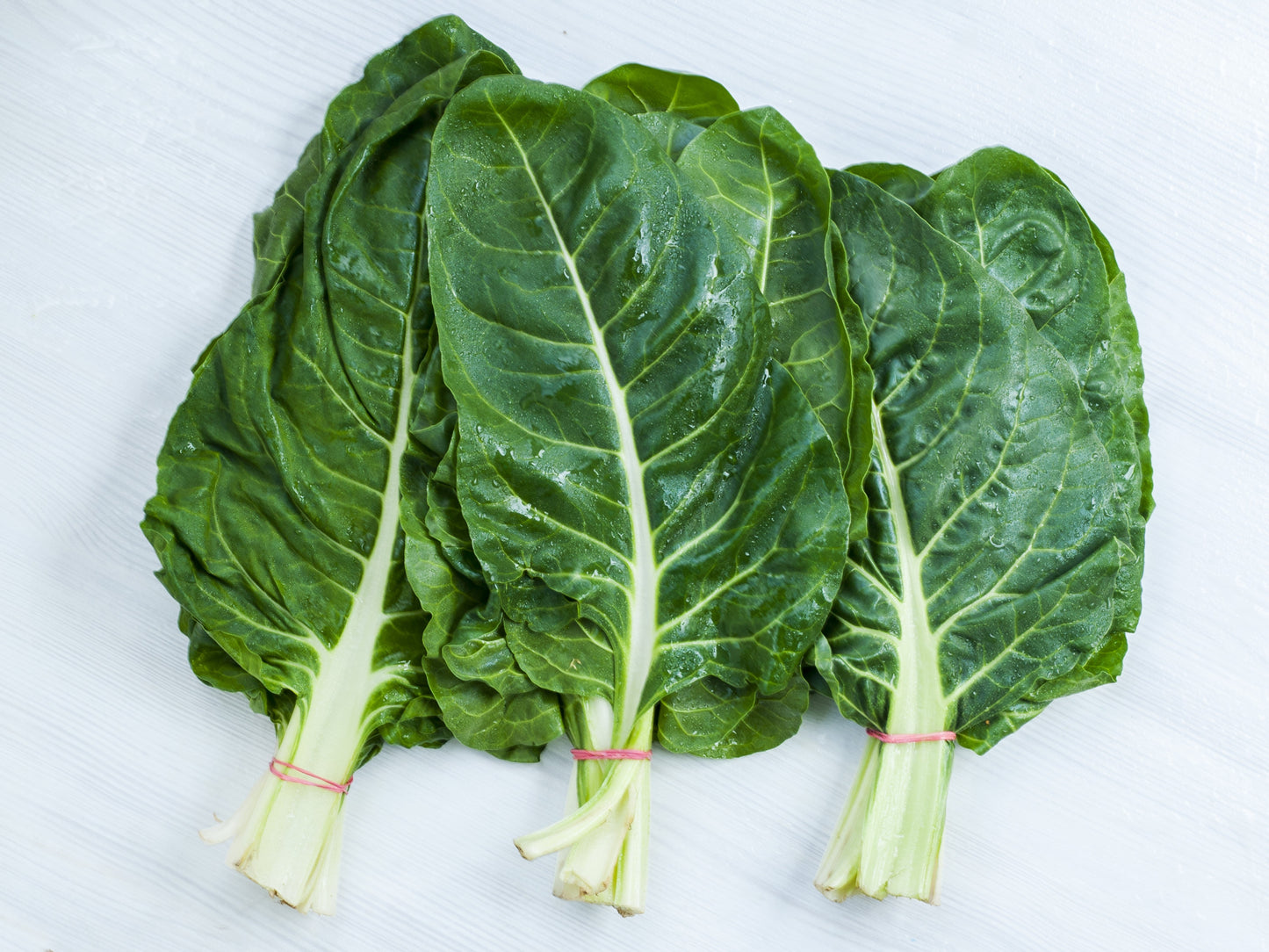 250 Barese Swiss Chard (Beta Vulgaris) Seeds