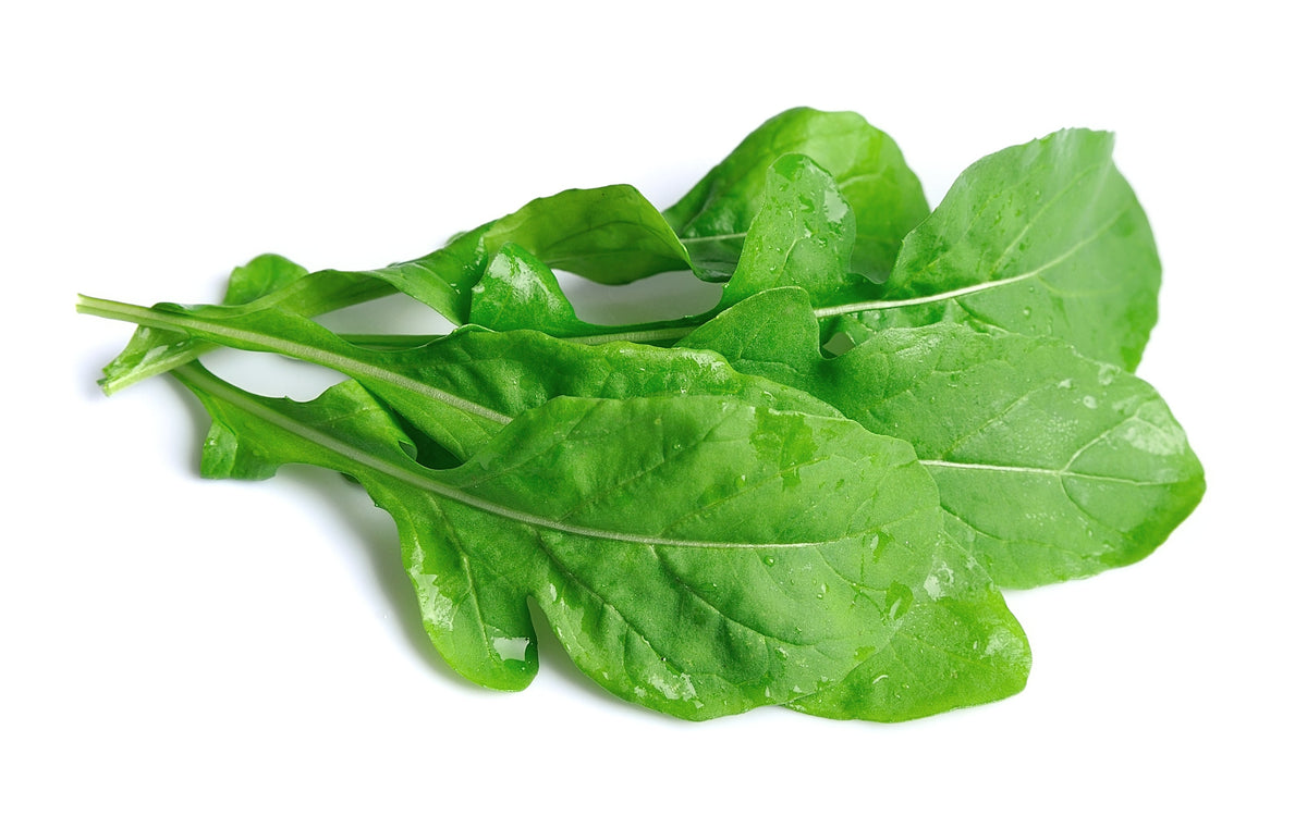 Roquette Arugula (Eruca vesicaria sativa) Seeds – 2,000 ct